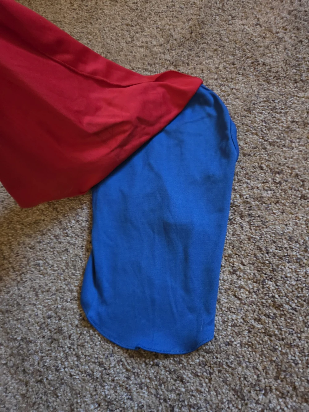 Superman Dog Costume